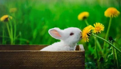 爱游戏下载-摩洛哥瓦赫达体能训练升级，备战河床半决赛