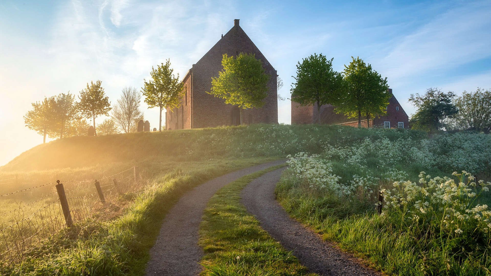 爱游戏入口-如果福登为丹麦出战委内瑞拉，数据统治背后的足球智慧