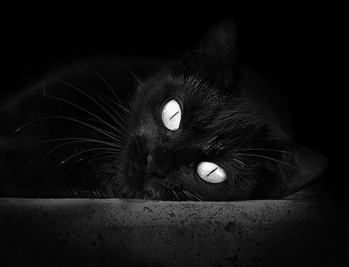 库里引领鹈鹕，当金州魔法照亮珠江夜空