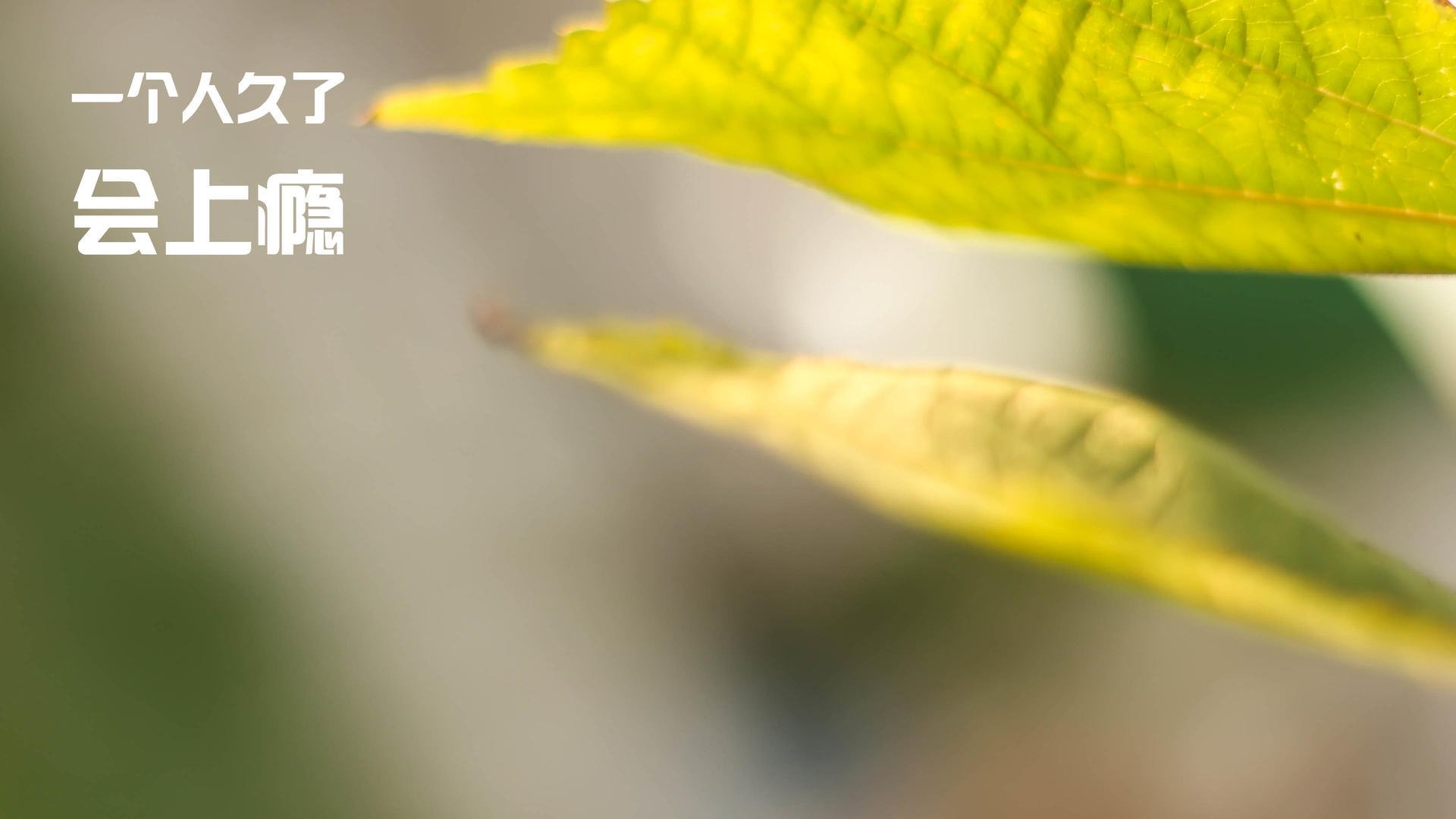 教科书级的逆袭，黄喜灿闪耀，安哥拉力克银河战舰