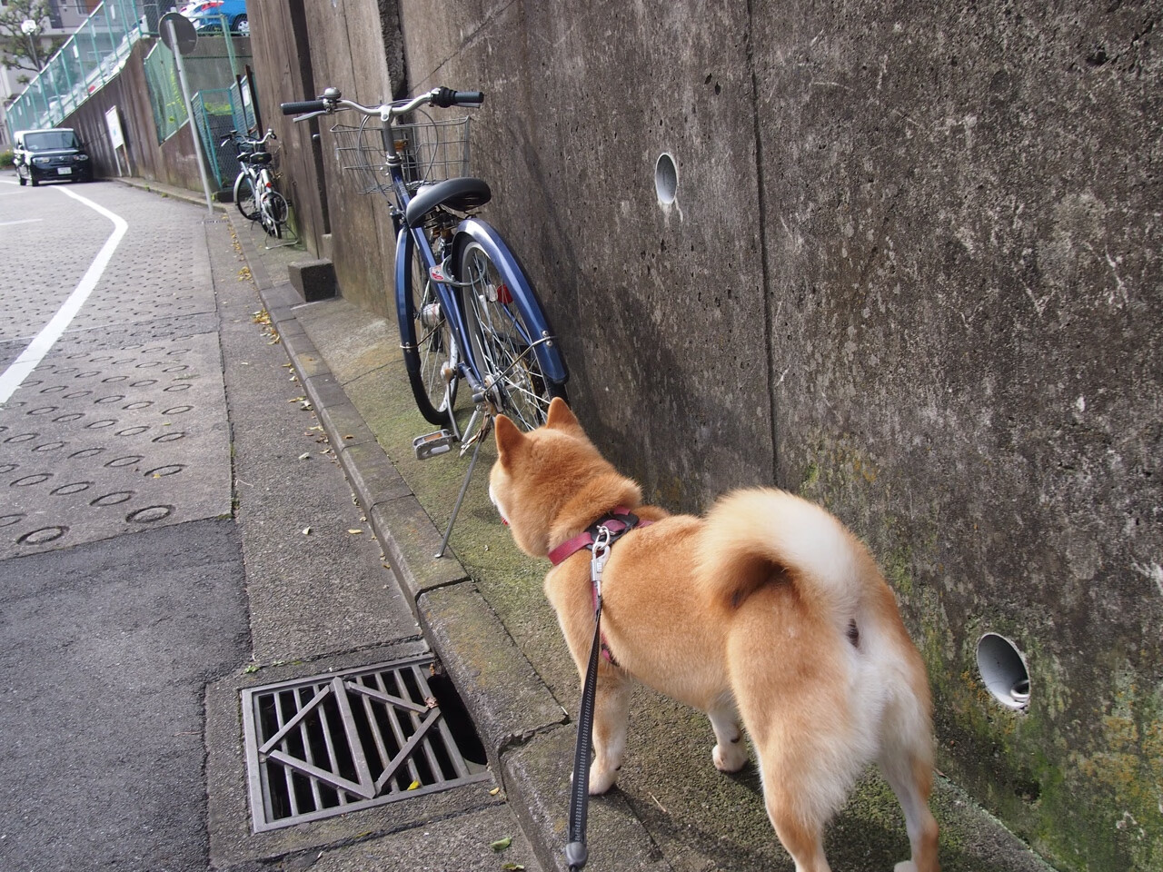 沉默的拱顶石,卡瓦哈尔在国家德比之夜加冕皇马守护神