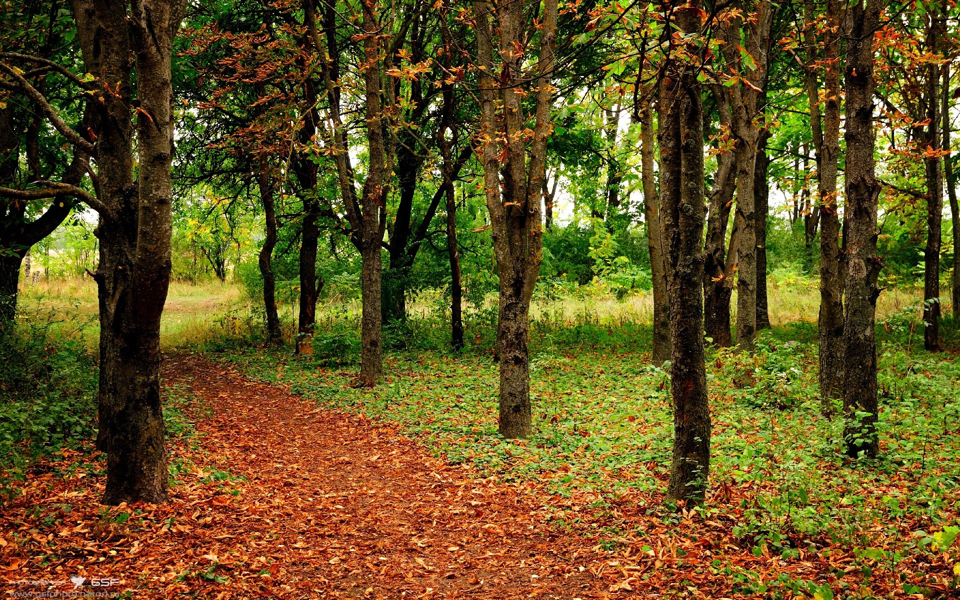 爱游戏-伊萨克一人撕裂冠军防线，当彩虹也无法阻挡的黑色闪电划过赛场